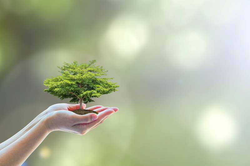 Avoiding Common Pitfalls: Your Guide to Skip Hire Dos and Don'ts